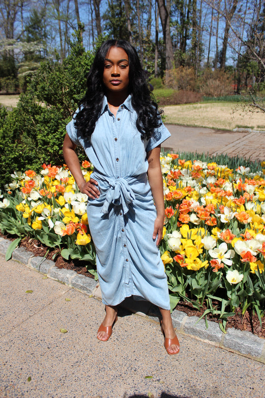 Denim Babe | Chambray Dress